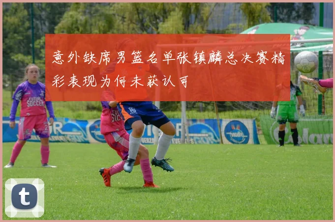 意外缺席男篮名单张镇麟总决赛精彩表现为何未获认可