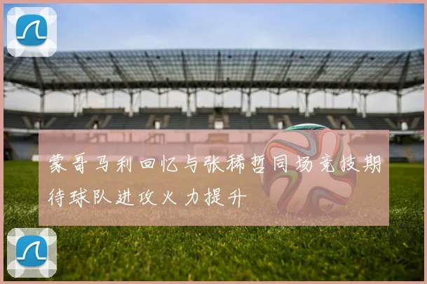 蒙哥马利回忆与张稀哲同场竞技期待球队进攻火力提升